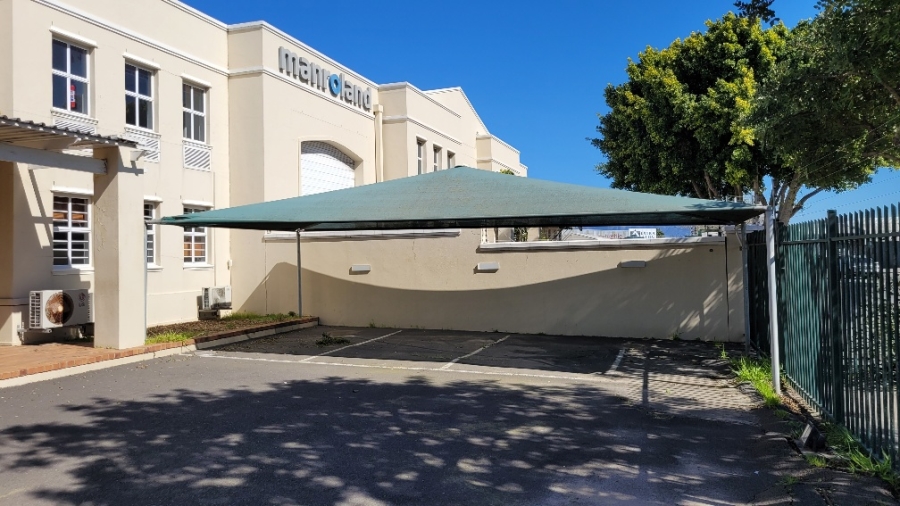 To Let commercial Property for Rent in Airport Industria Western Cape